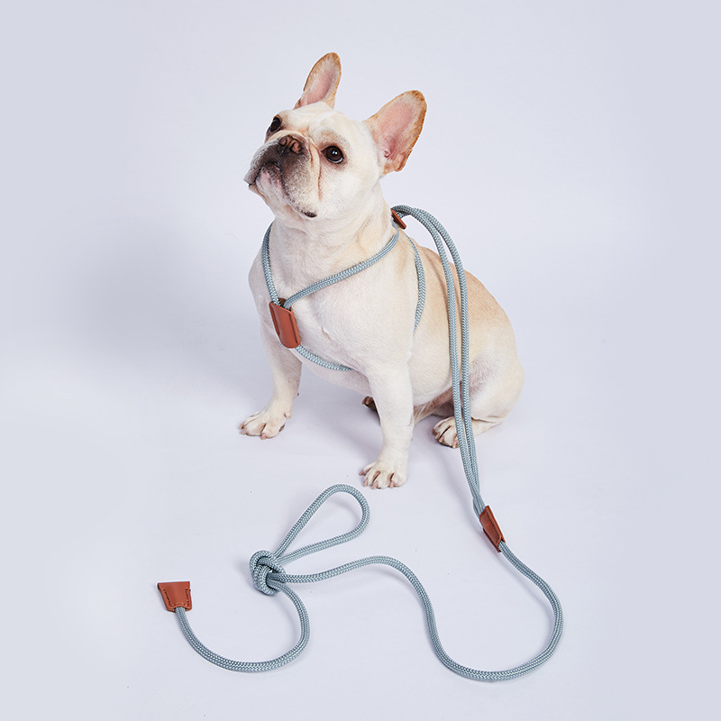 Running Gear Dog - Nylon Dog Harness Leash For Medium