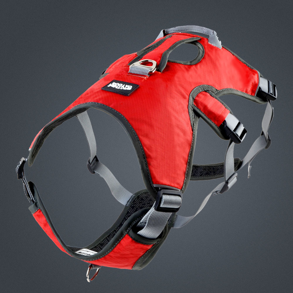 Dog Harness Breathable Reflect - Running Gear Dog ulasan dan harga