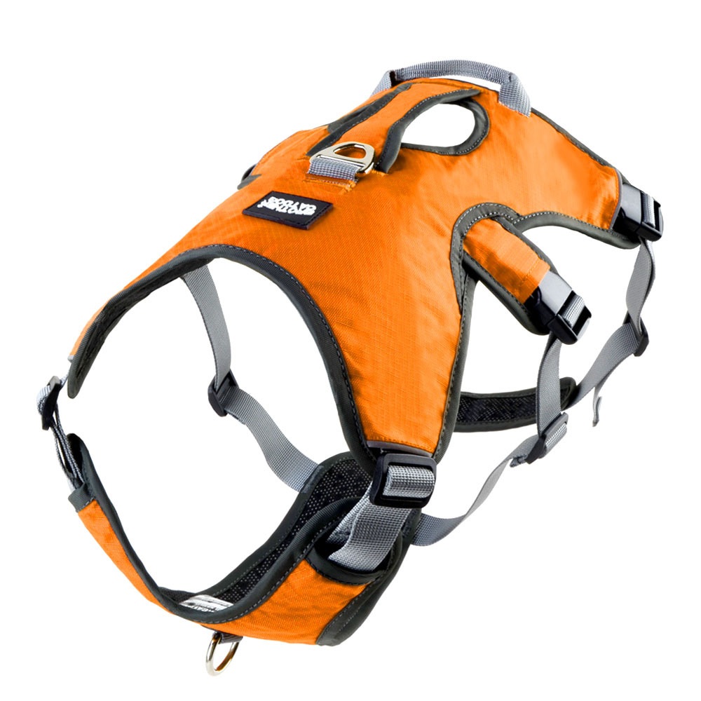 Dog Harness Breathable Reflect - Running Gear Dog ulasan dan harga
