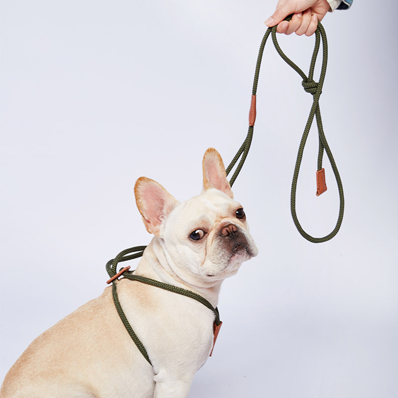 Nylon Dog Harness Leash For Me - Running Gear Dog ulasan dan harga