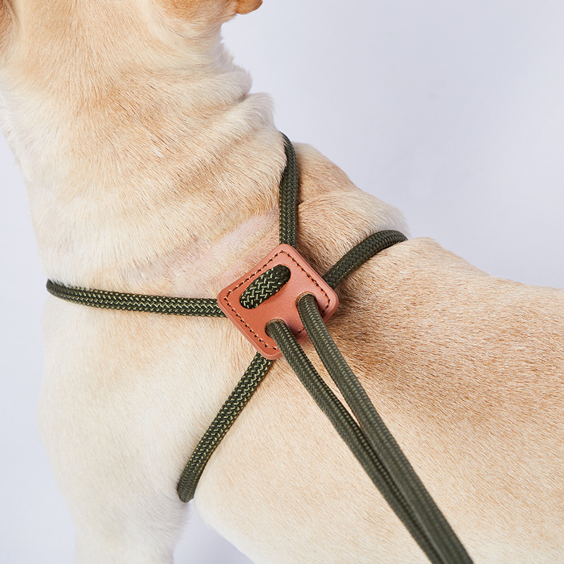 Nylon Dog Harness Leash For Me - Running Gear Dog ulasan dan harga