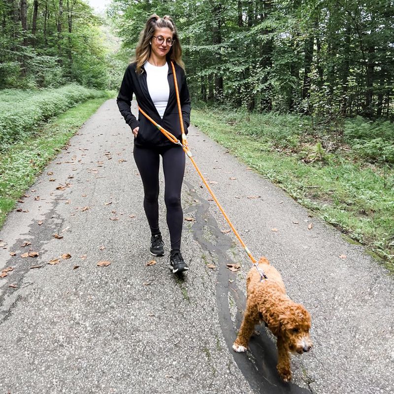 Adjustable Hands-Free Dog Leas - Running Gear Dog ulasan dan harga